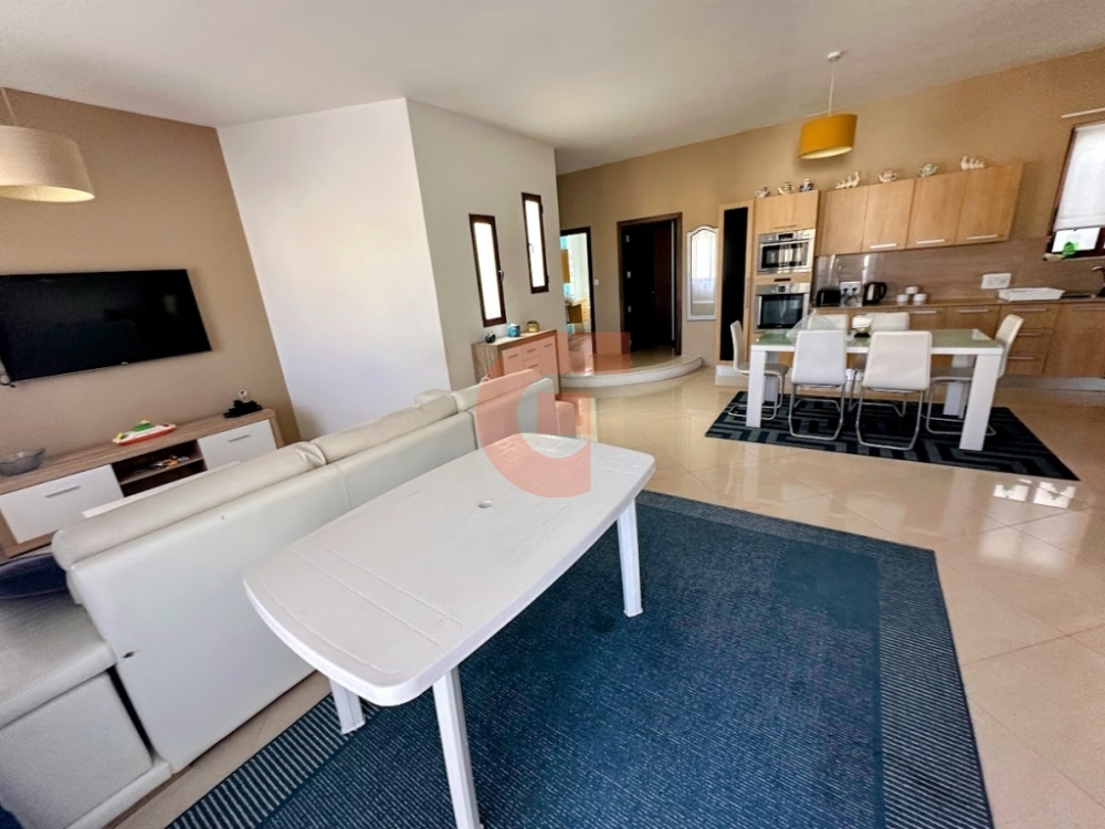 IMG_7010-EDIT IMG_7010-EDIT