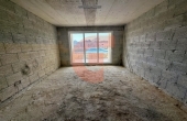 IMG_5246 IMG_5246