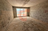 IMG_5281 IMG_5281