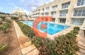 IMG_5258 IMG_5258