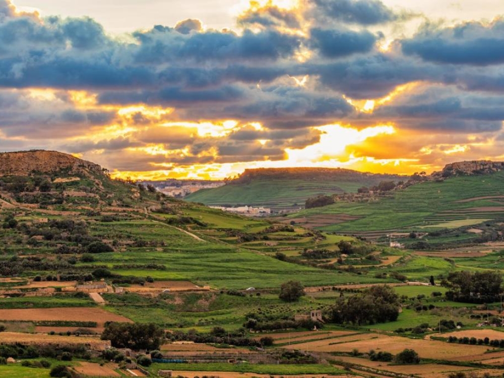 WhatsApp Image 2025-11-18 at 16.53.09