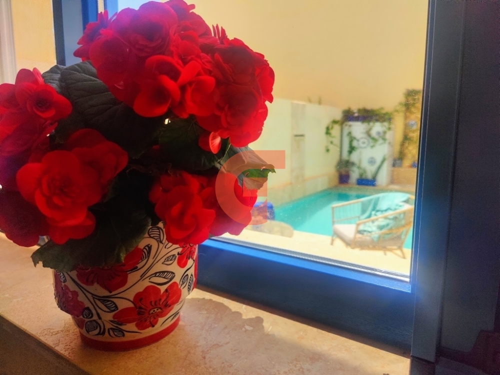 Kitchen View Kitchen View