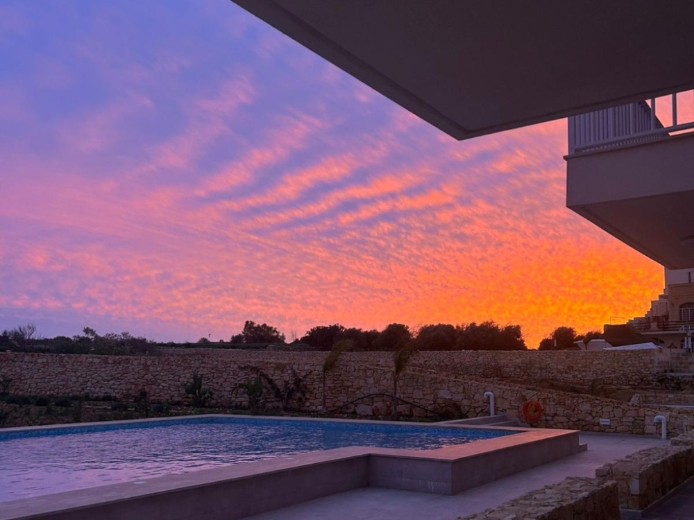 WhnatsApp Image 2026-04-17 at 15.27.11