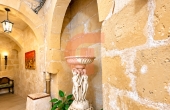 IMG_0324_professional_AI_style