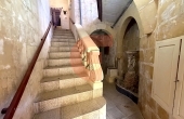IMG_0322_professional_AI_style