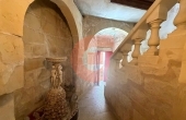 IMG_0330_professional_AI_style