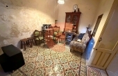 IMG_0335_professional_AI_style