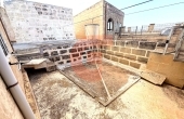 IMG_0344_professional_AI_style