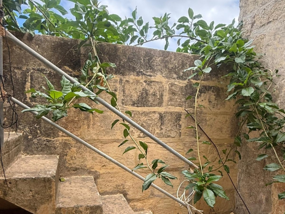 WhatsApp Image 2025-11-12 at 14.59.46 (1) WhatsApp Image 2025-11-12 at 14.59.46 (1)