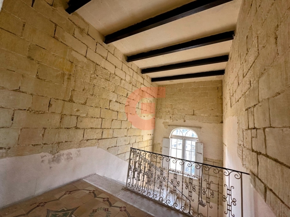 IMG_6678-EDIT IMG_6678-EDIT