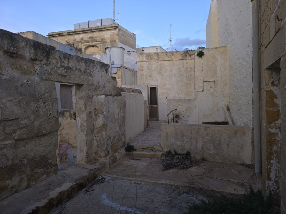 WhatsApp Image 202 WhatsApp Image 202