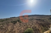 765671653_1041185111620831_4409277002554076255_n