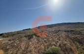 765697698_1041185038287505_1166121400460939093_n